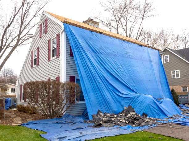 Best Property Management Cleanouts  in North Terre Haute, IN