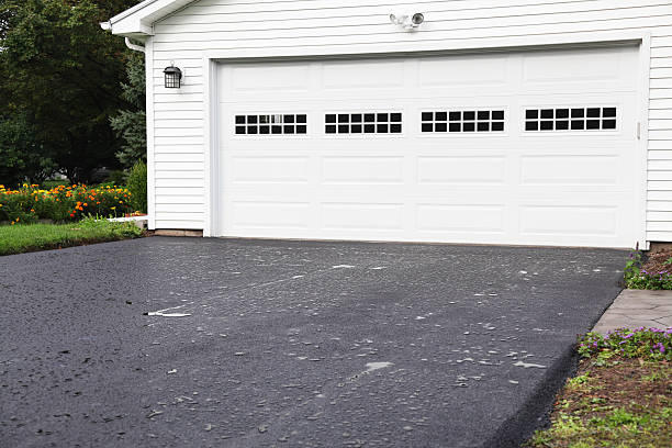 Best Basement Cleanout  in North Terre Haute, IN